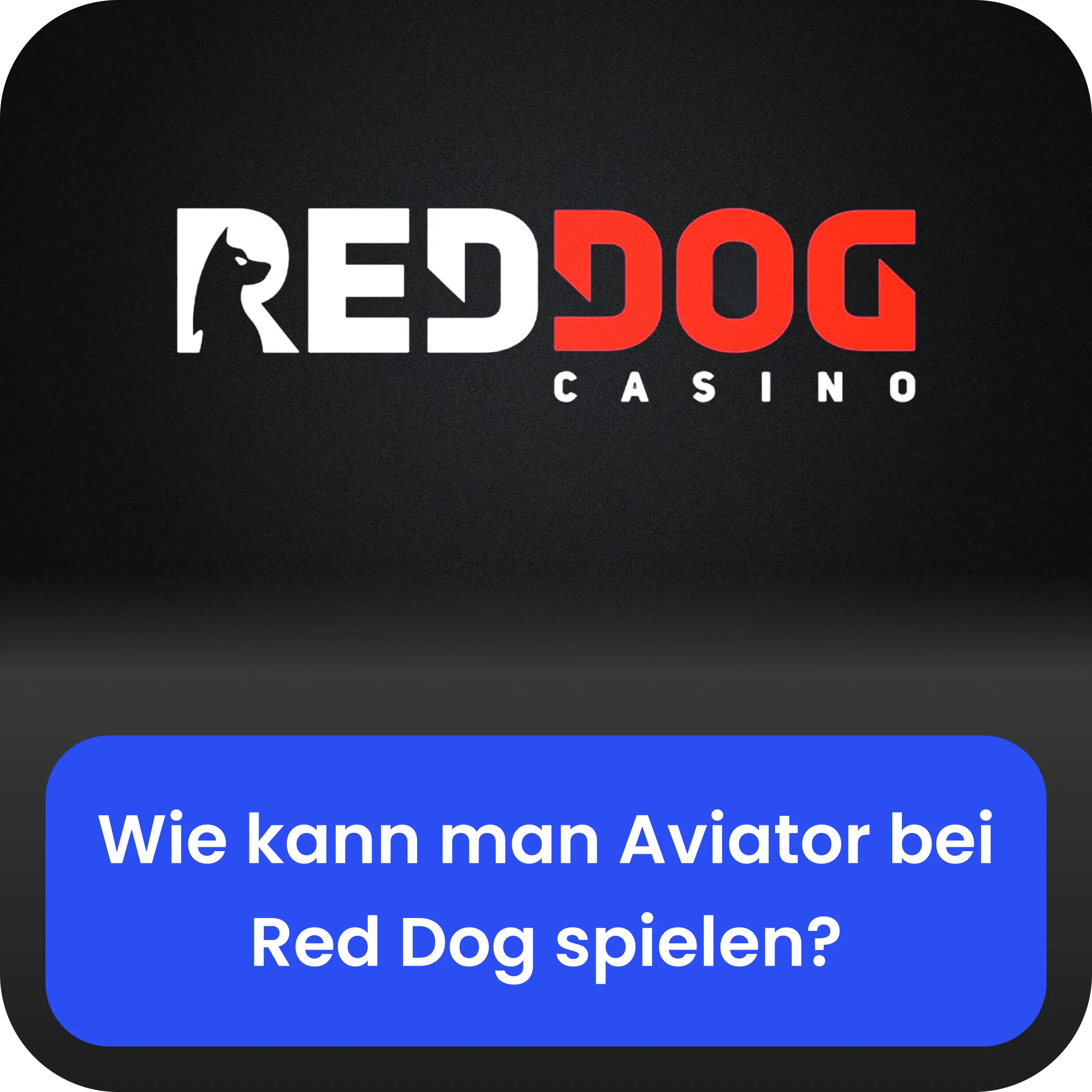 red dog Spielanleitung aviator